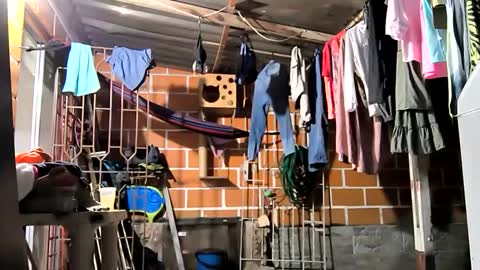 17cmpolla online show from December 2024 04:14:02 AM