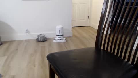 Snapshot of 1dad2plz chatting on November 2025 02:59:02 PM i erupt if you suck ur nipples 4 me and look at the camera while watching me online show from November 2025 02:59:02 PM