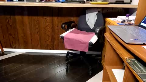 Snapshot of 1hotcrossdresser chatting on January 2025 10:24:01 PM Brianna online show from January 2025 10:24:01 PM