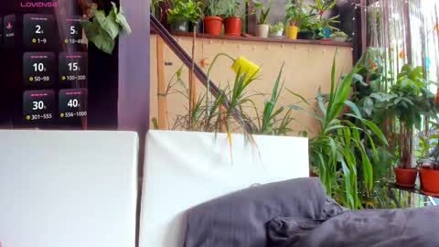 Moona  online show from September 2025 12:17:01 PM