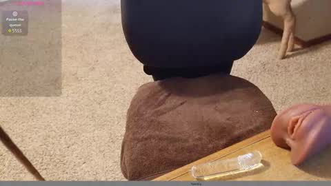 Snapshot of 2tiredoftoys chatting on November 2025 11:32:01 PM 2tiredoftoys online show from November 2025 11:32:01 PM