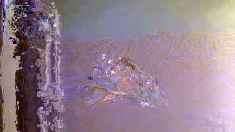 Snapshot of 60zeus60 chatting on November 2025 06:15:02 AM Zeus online show from November 2025 06:15:02 AM