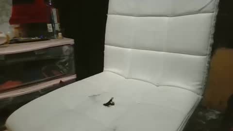 Snapshot of 69meowxxx chatting on November 2025 03:24:01 PM 69meowxxx online show from November 2025 03:24:01 PM