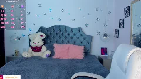 antonnela online show from December 2024 01:49:01 PM