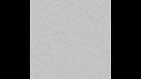 Brenda online show from January 2025 11:44:02 AM