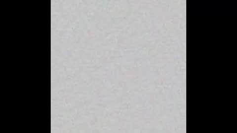 Brenda online show from January 2025 12:16:01 PM