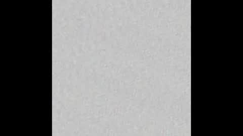 Brenda online show from January 2025 11:49:02 AM