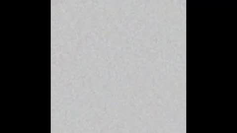 Brenda online show from February 2025 12:33:02 PM