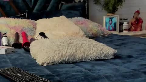 Brenda online show from March 2025 12:20:01 PM