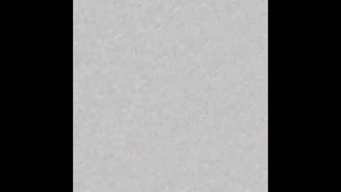 Brenda online show from September 2025 11:45:01 AM