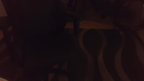 Snapshot of _krakauer_ chatting on December 2024 05:00:01 PM _krakauer_ online show from December 2024 05:00:01 PM