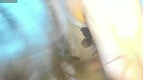 Snapshot of _litle_mily_ chatting on February 2025 09:15:02 PM Mily online show from February 2025 09:15:02 PM