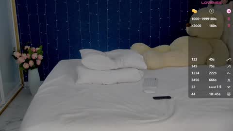 Snapshot of _mirror_girl chatting on January 2025 03:12:01 AM Victoria online show from January 2025 03:12:01 AM