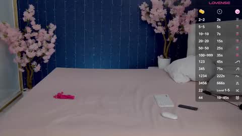 Snapshot of _mirror_girl chatting on February 2025 06:33:01 AM Victoria online show from February 2025 06:33:01 AM