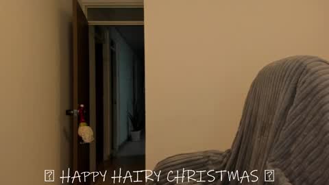 _miss_coco_ online show from December 2024 12:48:02 AM