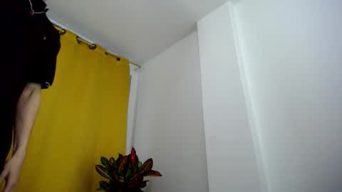 Snapshot of _skyleer_ chatting on November 2025 11:36:02 PM _skyleer_ online show from November 2025 11:36:02 PM