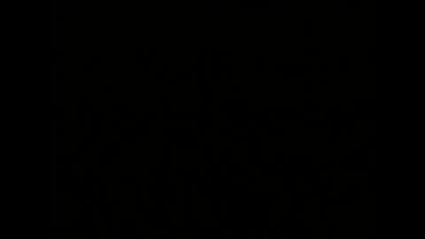 Melisa online show from January 2025 10:05:01 AM