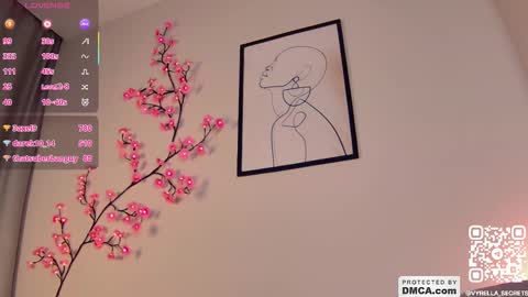 Snapshot of _vyrella_ chatting on December 2025 07:53:02 PM vyrella online show from December 2025 07:53:02 PM