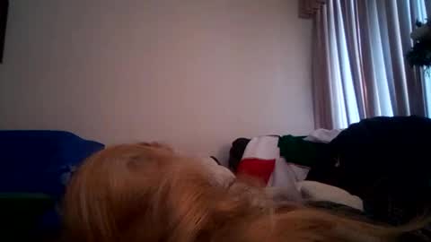 abdgg83476 online show from January 2025 06:19:01 PM