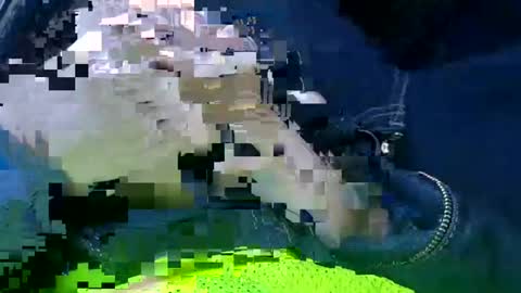 Ace online show from January 2025 01:49:01 PM