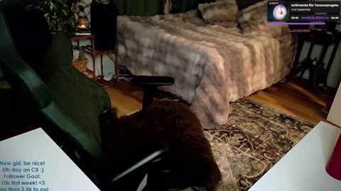 Snapshot of adalinarae chatting on January 2025 06:24:02 AM Adalina Rae online show from January 2025 06:24:02 AM