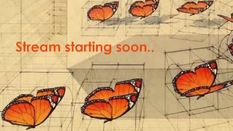 Snapshot of adalinarae chatting on February 2025 05:09:01 PM Adalina Rae online show from February 2025 05:09:01 PM