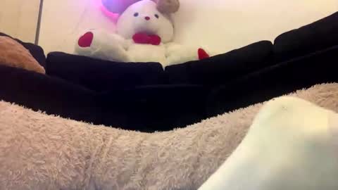 Snapshot of adam_1792 chatting on February 2025 12:28:01 PM ENIGMA TZX5114 online show from February 2025 12:28:01 PM