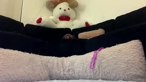 Snapshot of adam_1792 chatting on February 2025 12:15:02 PM ENIGMA TZX5114 online show from February 2025 12:15:02 PM