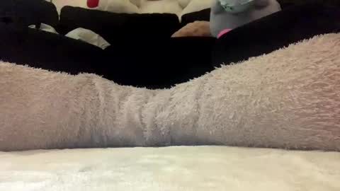 Snapshot of adam_1792 chatting on March 2025 11:20:01 AM ENIGMA TZX5114 online show from March 2025 11:20:01 AM