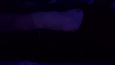 Snapshot of adamllamas chatting on March 2025 07:49:02 AM adamllamas online show from March 2025 07:49:02 AM