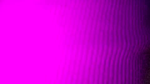 Snapshot of adamllamas chatting on September 2025 04:56:01 AM adamllamas online show from September 2025 04:56:01 AM