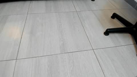 adbel sady online show from December 2024 11:14:02 AM