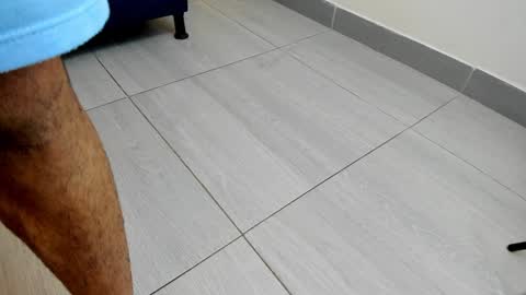 adbel sady online show from December 2024 11:17:01 AM