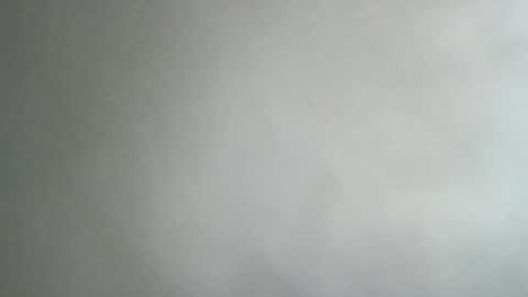 adi2019 online show from January 2025 11:54:02 AM