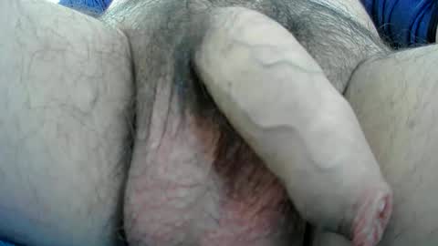 adi2019 online show from January 2025 01:17:01 PM