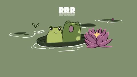 Catalina online show from February 2025 03:19:01 PM