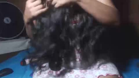 aisha koswell3 online show from January 2025 04:37:02 AM