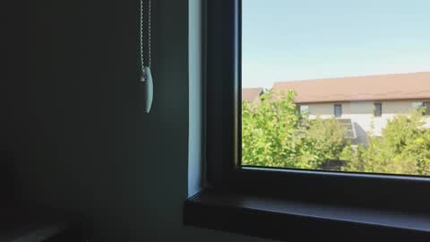 Alecssalove online show from September 2025 12:28:02 PM