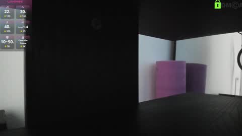 Alejandra online show from January 2025 01:36:02 PM