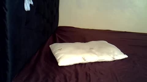 Snapshot of alexa_foxxie chatting on December 2024 06:27:01 PM Alexa online show from December 2024 06:27:01 PM