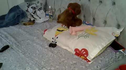 Snapshot of alexa_foxxie chatting on February 2025 03:05:02 PM Alexa online show from February 2025 03:05:02 PM