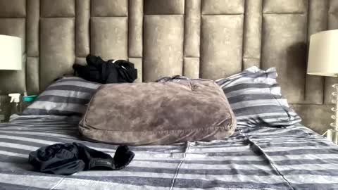 alexander grey online show from January 2025 03:55:01 PM