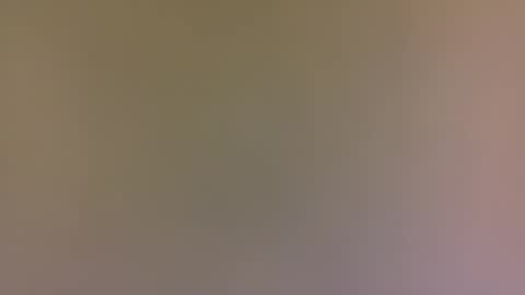 alexfan141 online show from October 2025 04:41:01 PM