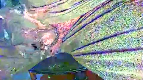 Snapshot of alexhot4her chatting on October 2025 11:20:01 PM Alex online show from October 2025 11:20:01 PM