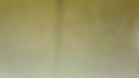 Alfonso Gomez online show from January 2025 05:28:01 PM