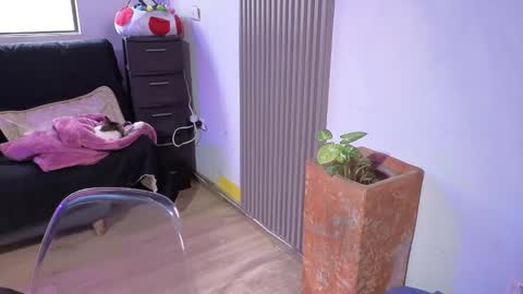 Snapshot of alice_star7 chatting on December 2025 01:39:02 PM Alice online show from December 2025 01:39:02 PM