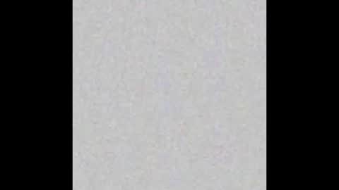           online show from October 2025 11:22:02 AM