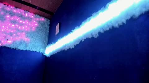 Snapshot of alissa_grey2 chatting on December 2024 06:53:01 PM Alissa online show from December 2024 06:53:01 PM