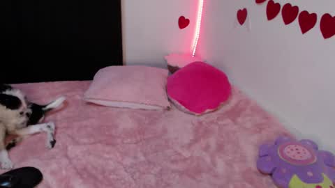 Snapshot of all_smiles_here chatting on February 2025 01:02:02 AM Lola online show from February 2025 01:02:02 AM