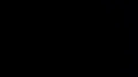 Allisson online show from December 2024 09:53:02 AM